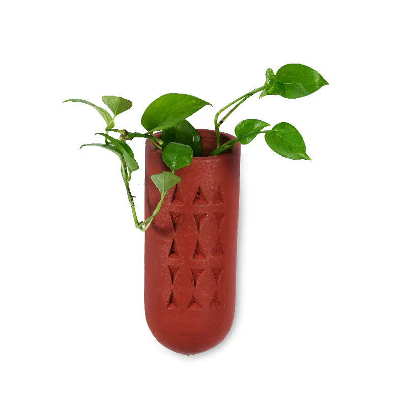 Why Terracotta Planters Are the Eco-friendly Choice Your Home Needs