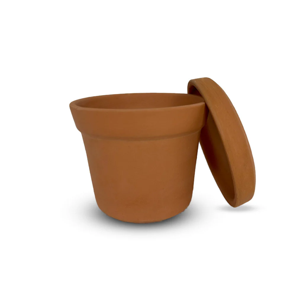 Tired of Dull Planters? Here’s How to Elevate Your Space with Cone Flower Pots