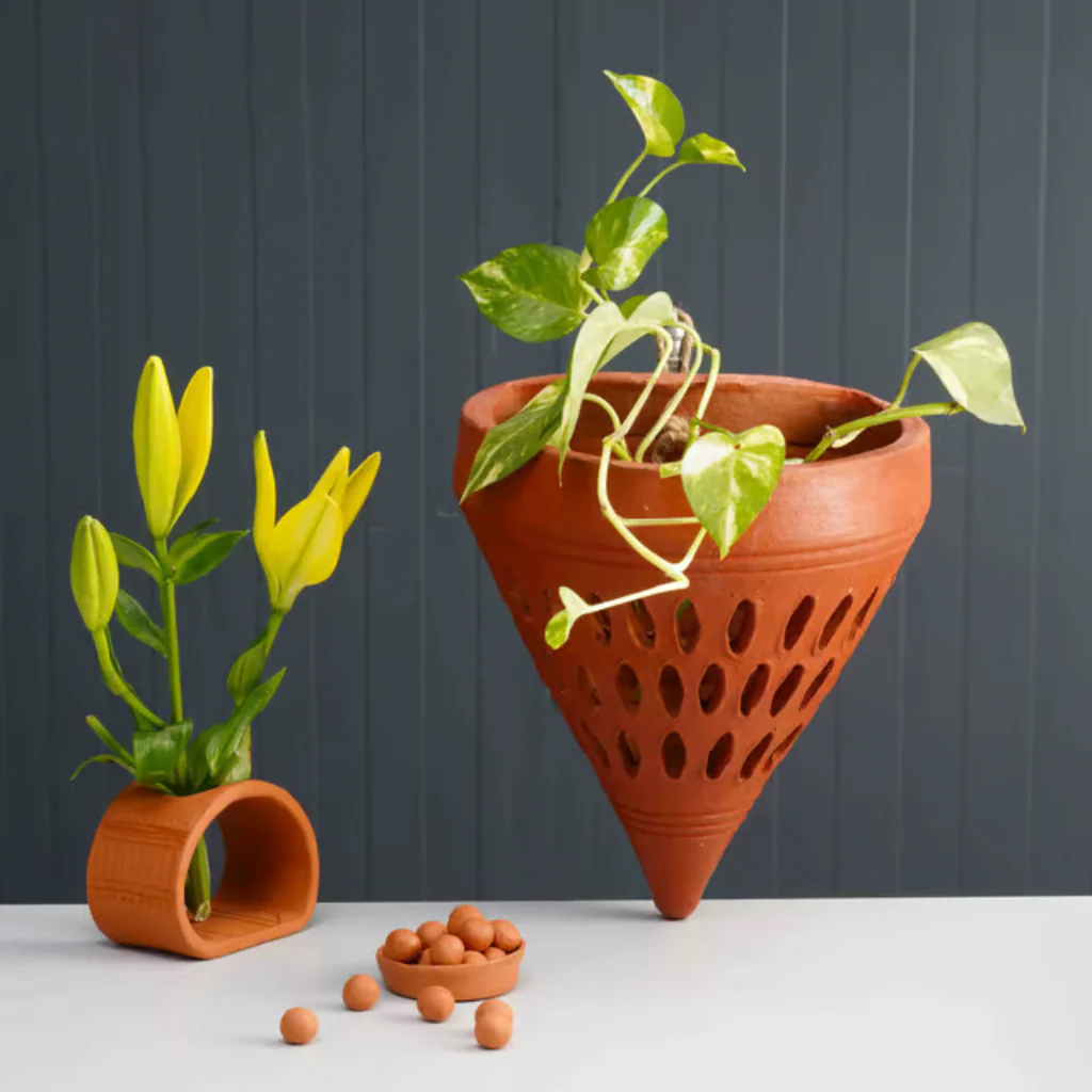 How to Choose the Right Orchid Pots for Healthy Growth?