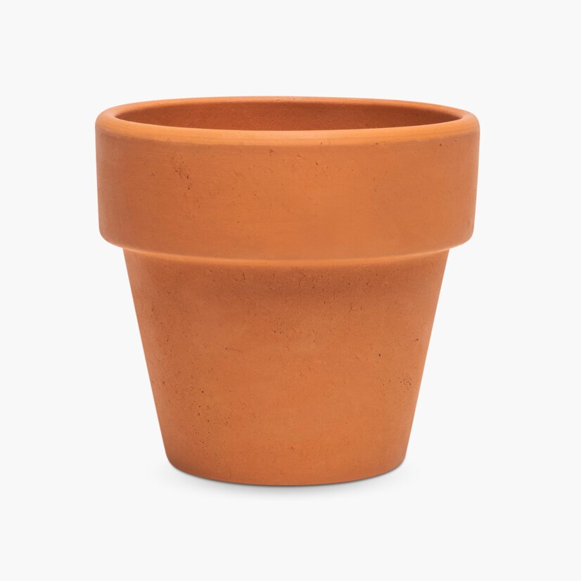 How to Choose the Best Terracotta Pots Online for Your Plants