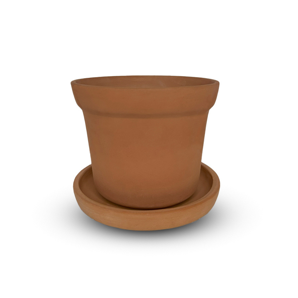 Cone Flower Pot with Plate