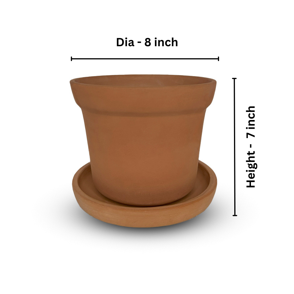 Cone Flower Pot with Plate