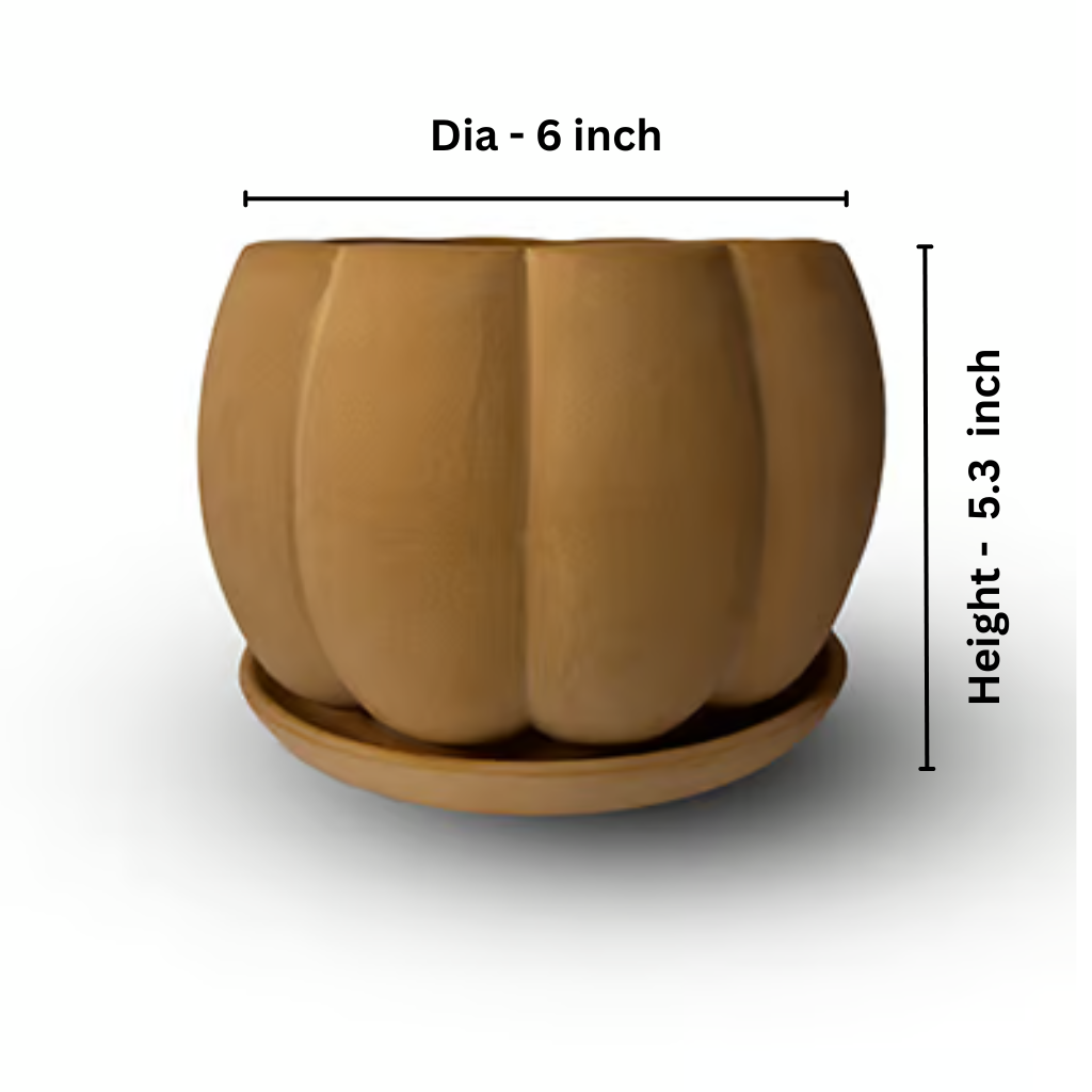 Pumpkin Flower Pot with Plate