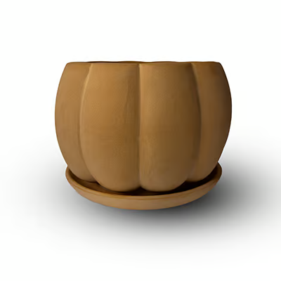 Pumpkin Flower Pot with Plate