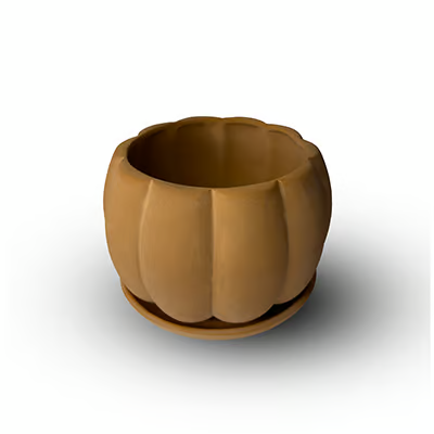 Pumpkin Flower Pot with Plate